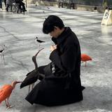 あなたのためのインテリア