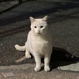 SAKIYAMA Koji