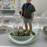 シンちゃんハウス