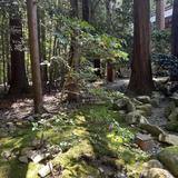 名前のことだま研究家　やすこ