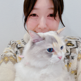 MMえむえむちゃん
