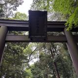 はやしたろう