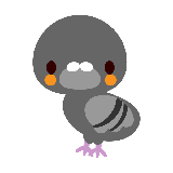 ぽっぽ羽鳥