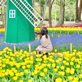 元中高教員ꕤ︎︎まゆこ
