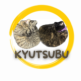 KYUTSUBU