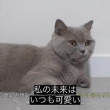 ながせあい