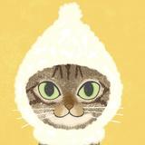 猫印計画