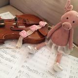 NaHO_violin
