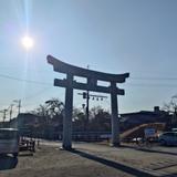 たにきむ