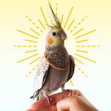 B_B_DESIGN