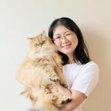 おるすばんねこ写真舎