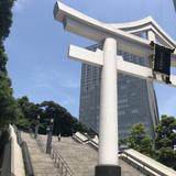青空市場