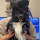 高輪涼太