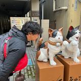 エフの工房