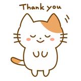 猫さわ（アシスタント）
