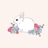 lapin design
