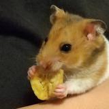 がんサバイバーのたいちゃん