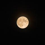 recmoon