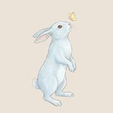 bossrabbit