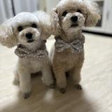 手芸作家そらころ