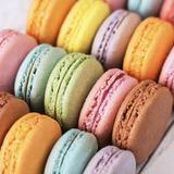 macaronY