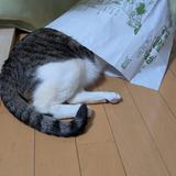 ひろおまき