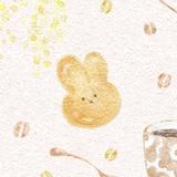 little ┊︎ イラストレーター