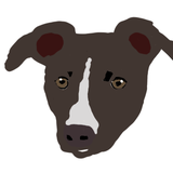mg_design0501