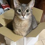 オオツボ＠10