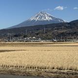 Yasuhiro  S