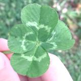 くま☘︎安心して話せる場所