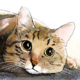 ワタリ ミキ