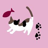 calico cat