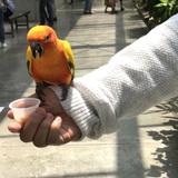 ゆたマロ