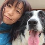 あひるぽん
