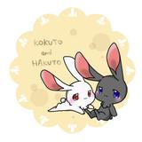 黒兎と白兎
