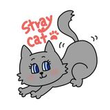 Stray_cat_rikka