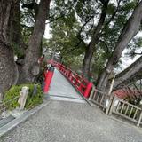 osukiyuudai1666