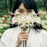 彼岸の忘却メトロ｜潜在意識リーディング
