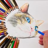 アトリエみお（ペット色鉛筆似顔絵）