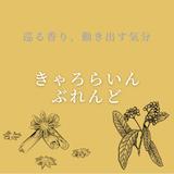 kuekue0234