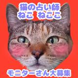 ねこねここ☆猫の占い師