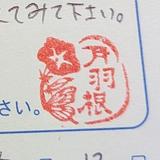院長 月羽根