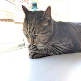 繊細さん佐々木