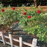 話話話