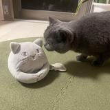 ひろ☆hiro