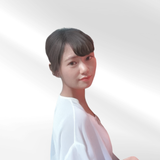 ks113aj
