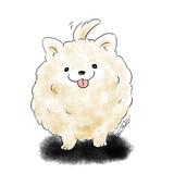 なつねいろ