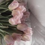 soua_design_