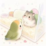 こころtime